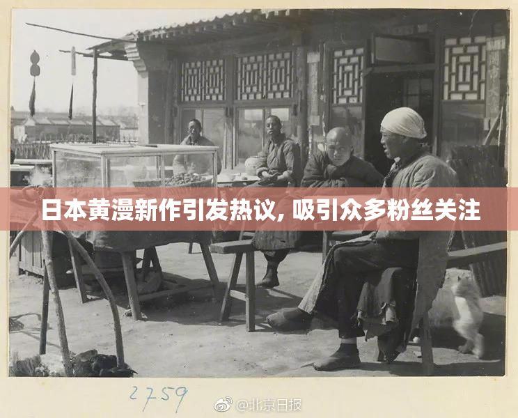 日本黄漫新作引发热议, 吸引众多粉丝关注