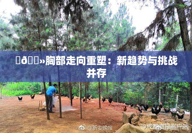 ‌🐻胸部走向重塑：新趋势与挑战并存