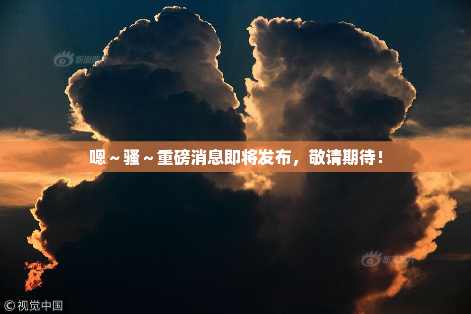 嗯～骚～重磅消息即将发布，敬请期待！