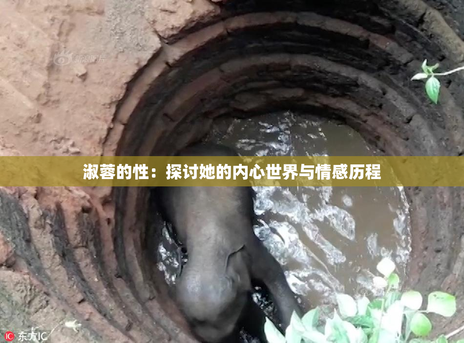 淑蓉的性：探讨她的内心世界与情感历程