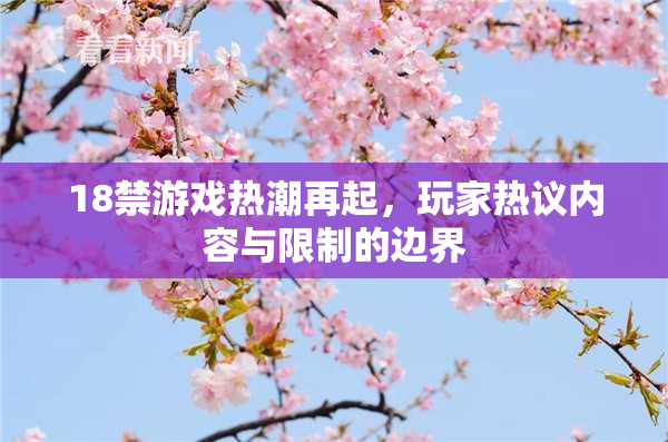 18禁游戏热潮再起，玩家热议内容与限制的边界