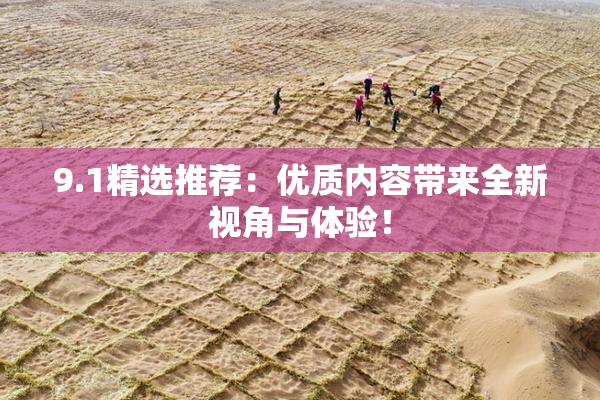9.1精选推荐：优质内容带来全新视角与体验！
