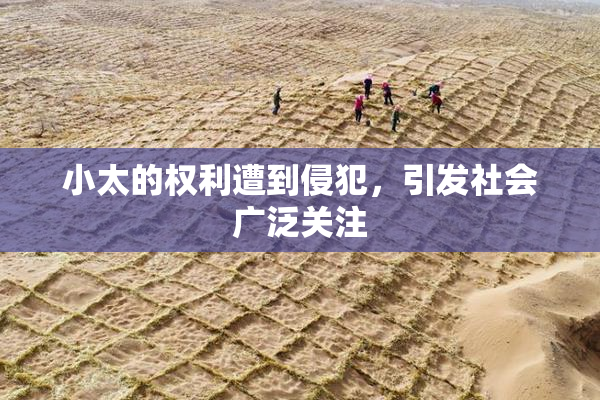 小太的权利遭到侵犯，引发社会广泛关注