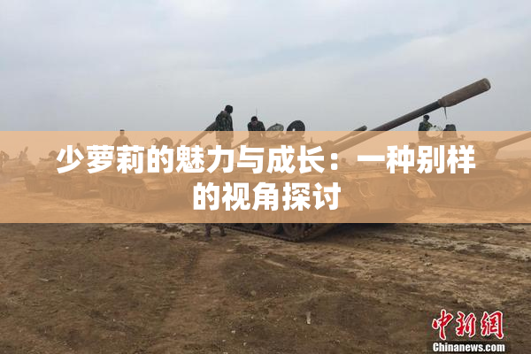 少萝莉的魅力与成长：一种别样的视角探讨