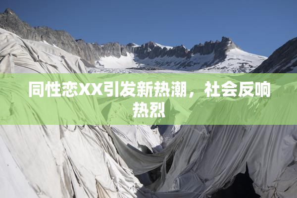 同性恋XX引发新热潮，社会反响热烈
