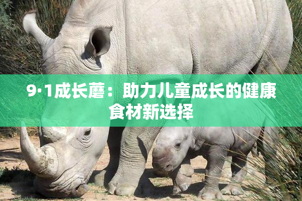 9·1成长蘑：助力儿童成长的健康食材新选择