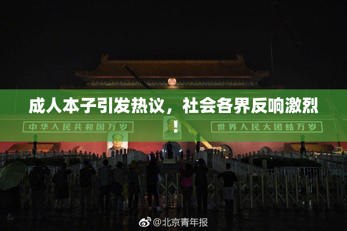 成人本子引发热议，社会各界反响激烈！