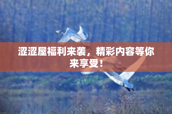 涩涩屋福利来袭，精彩内容等你来享受！