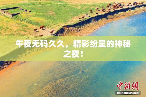 午夜无码久久，精彩纷呈的神秘之夜！