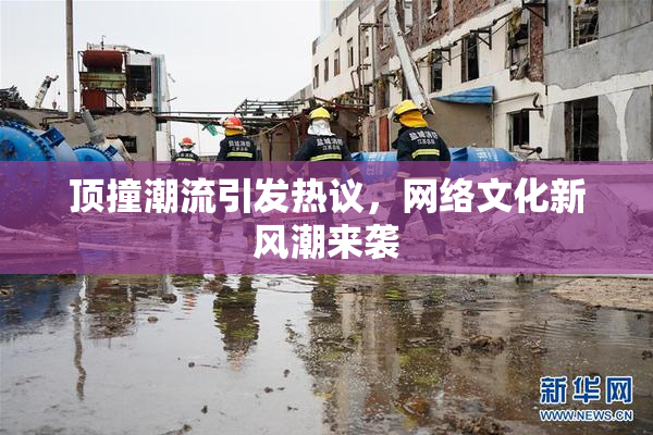 顶撞潮流引发热议，网络文化新风潮来袭