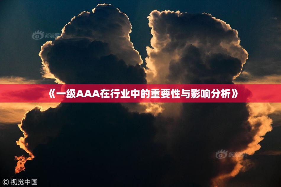 《一级AAA在行业中的重要性与影响分析》