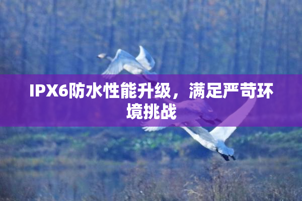 IPX6防水性能升级，满足严苛环境挑战