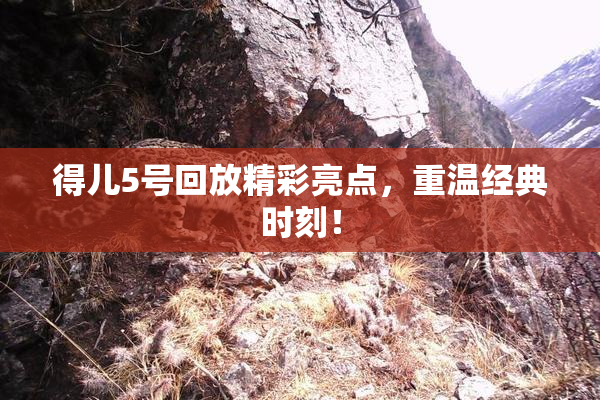 得儿5号回放精彩亮点，重温经典时刻！