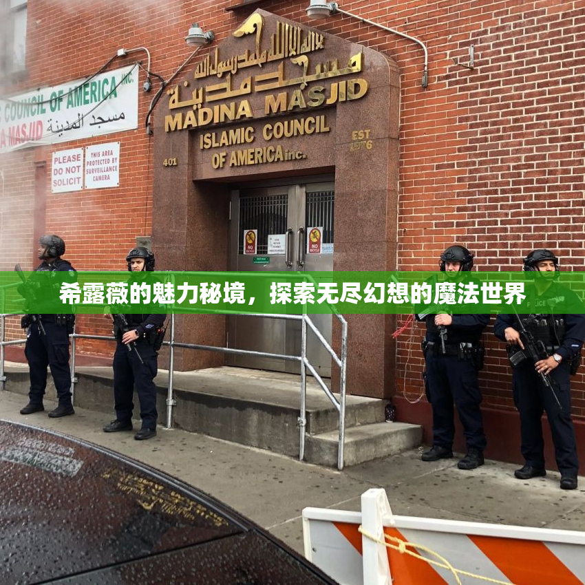 希露薇的魅力秘境，探索无尽幻想的魔法世界