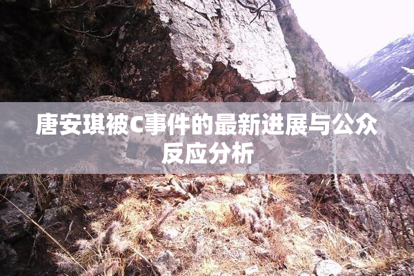 唐安琪被C事件的最新进展与公众反应分析
