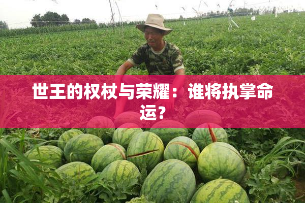 世王的权杖与荣耀：谁将执掌命运？