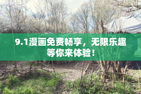 9.1漫画免费畅享，无限乐趣等你来体验！