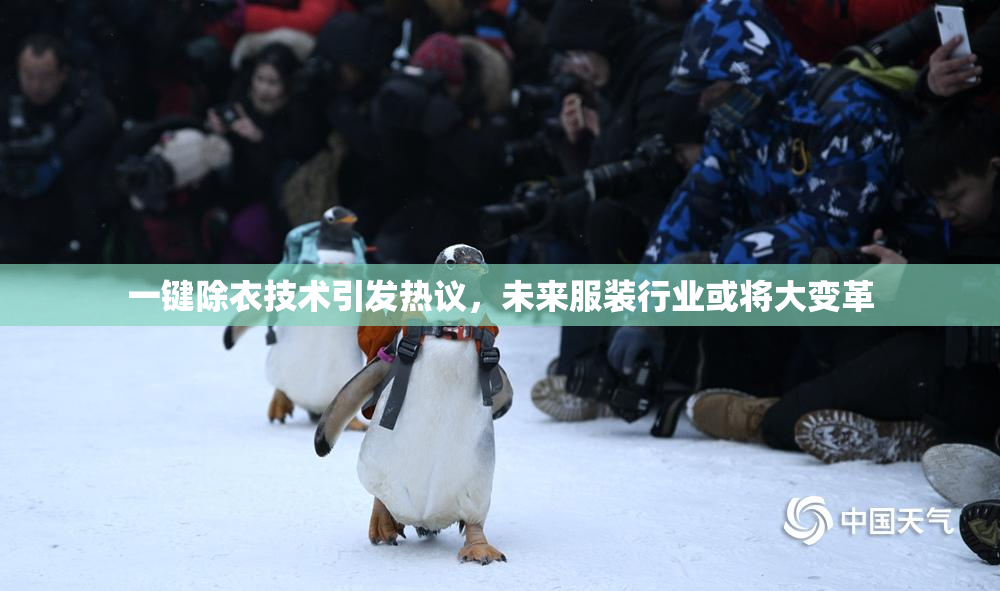 一键除衣技术引发热议，未来服装行业或将大变革