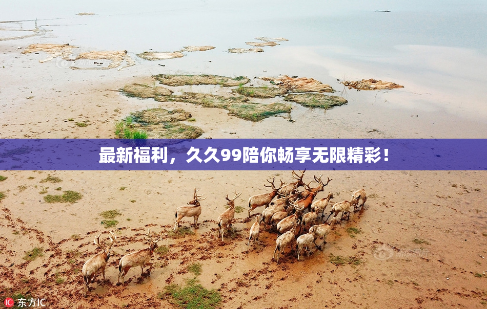 最新福利，久久99陪你畅享无限精彩！