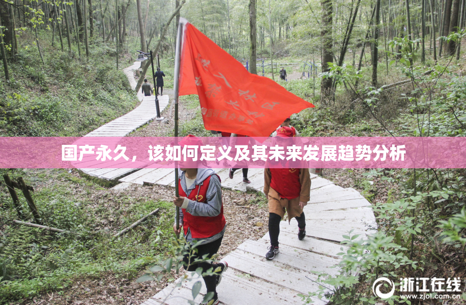 国产永久，该如何定义及其未来发展趋势分析