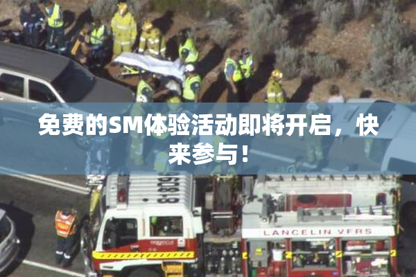 免费的SM体验活动即将开启，快来参与！