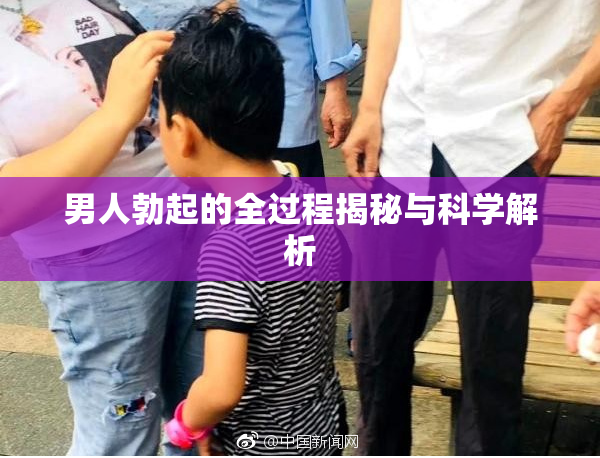 男人勃起的全过程揭秘与科学解析