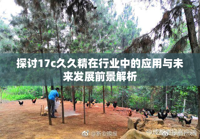 探讨17c久久精在行业中的应用与未来发展前景解析
