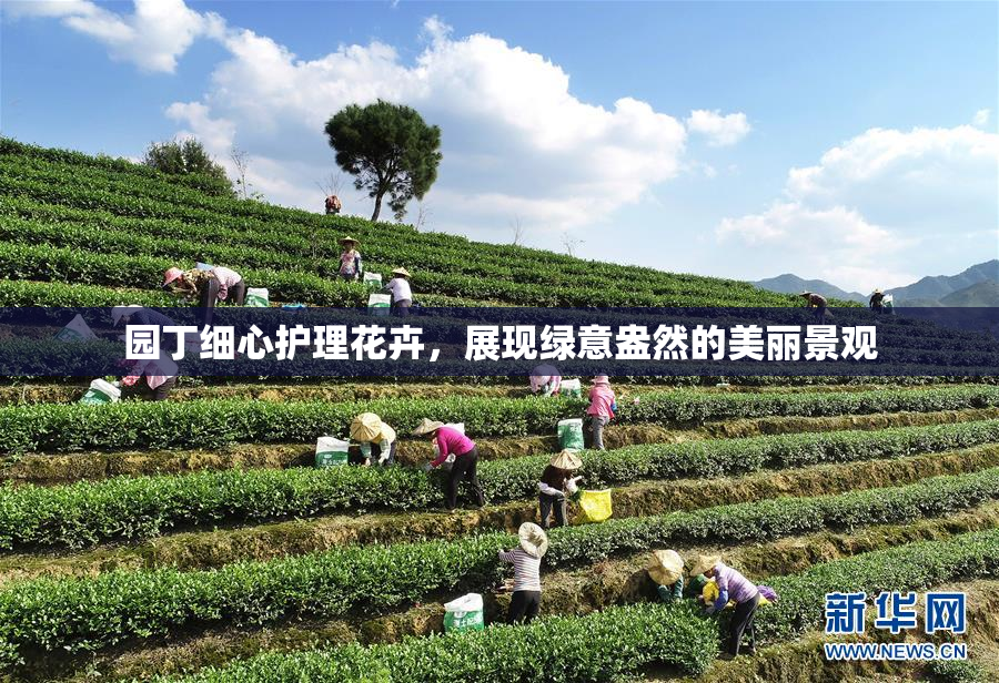 园丁细心护理花卉，展现绿意盎然的美丽景观
