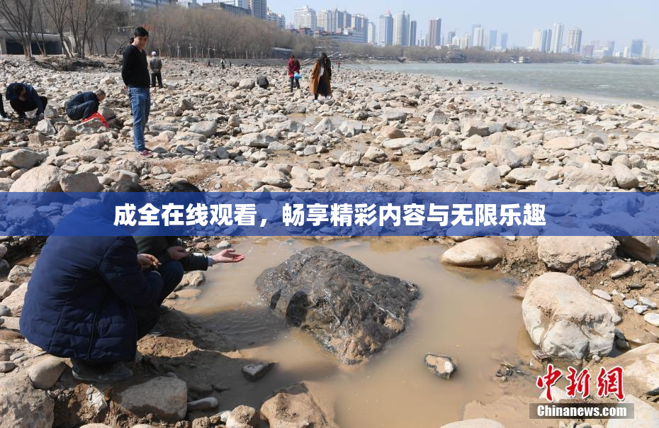 成全在线观看，畅享精彩内容与无限乐趣