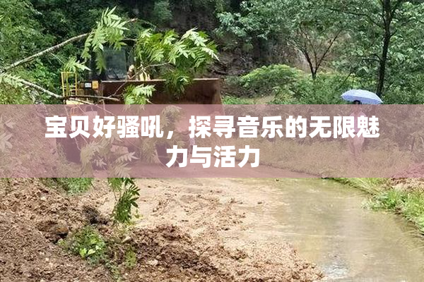宝贝好骚吼，探寻音乐的无限魅力与活力