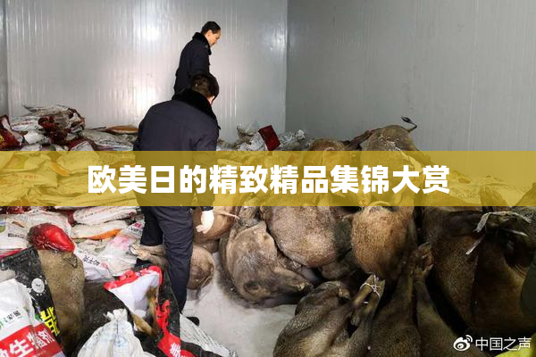 欧美日的精致精品集锦大赏