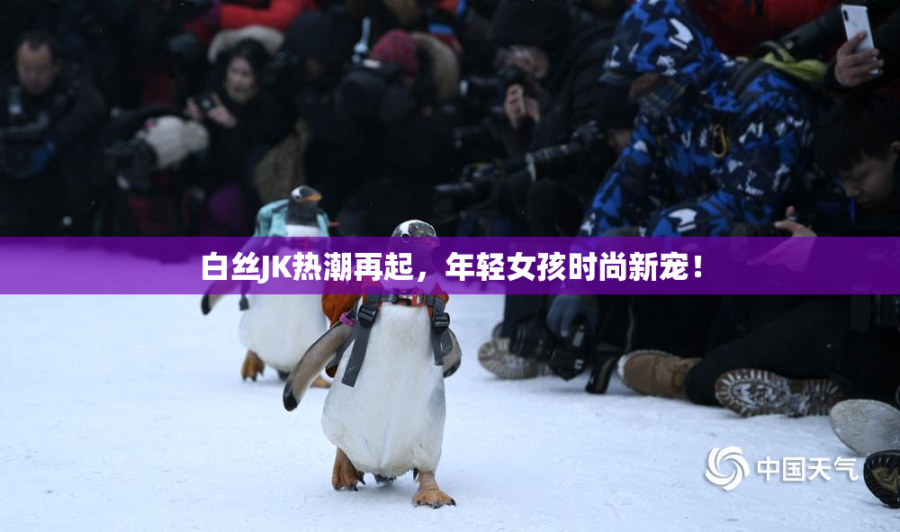 白丝JK热潮再起，年轻女孩时尚新宠！