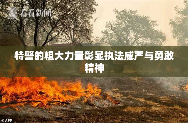特警的粗大力量彰显执法威严与勇敢精神