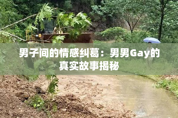 男子间的情感纠葛：男男Gay的真实故事揭秘