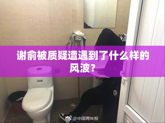 谢俞被质疑遭遇到了什么样的风波？