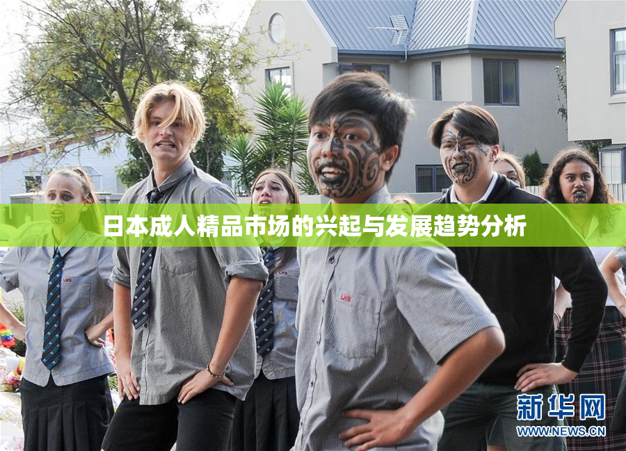 日本成人精品市场的兴起与发展趋势分析