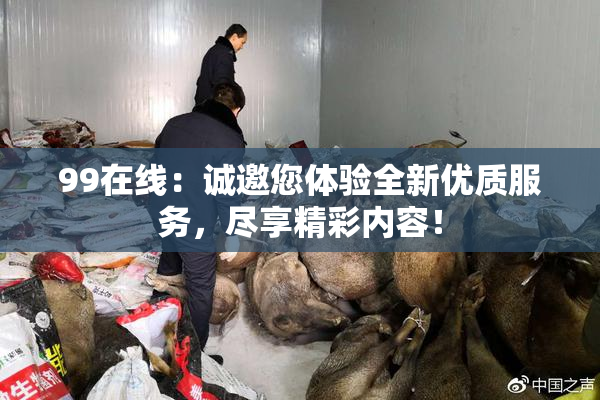 99在线：诚邀您体验全新优质服务，尽享精彩内容！