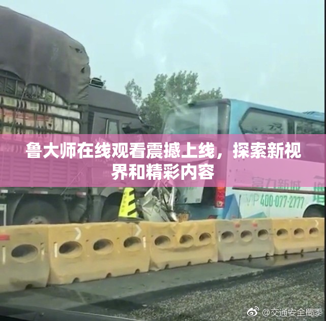 鲁大师在线观看震撼上线，探索新视界和精彩内容
