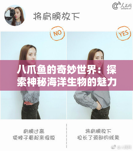 八爪鱼的奇妙世界：探索神秘海洋生物的魅力