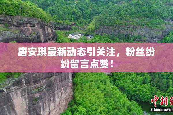 唐安琪最新动态引关注，粉丝纷纷留言点赞！
