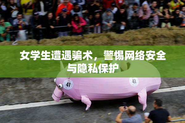女学生遭遇骗术，警惕网络安全与隐私保护
