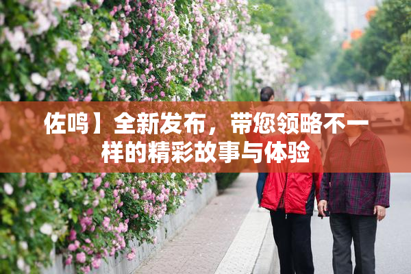 佐鸣】全新发布，带您领略不一样的精彩故事与体验