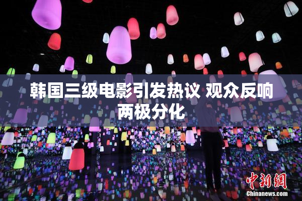 韩国三级电影引发热议 观众反响两极分化