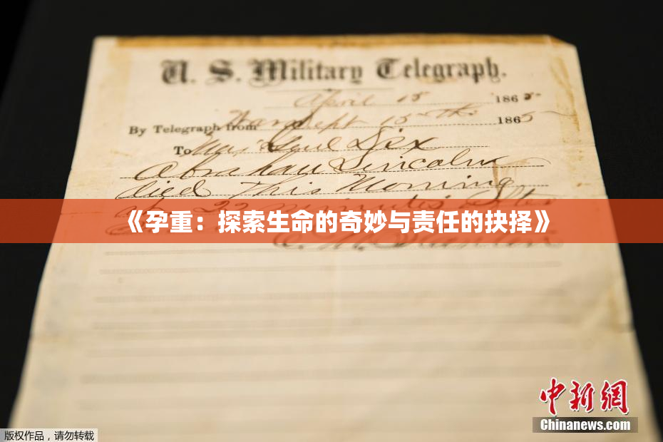 《孕重：探索生命的奇妙与责任的抉择》