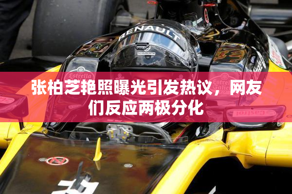 张柏芝艳照曝光引发热议，网友们反应两极分化