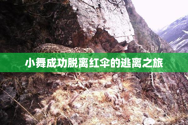 小舞成功脱离红伞的逃离之旅