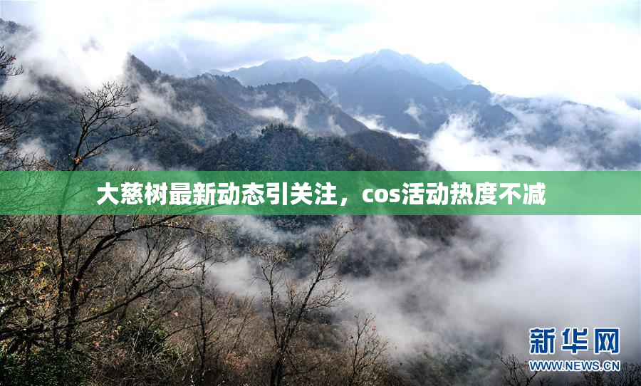 大慈树最新动态引关注，cos活动热度不减