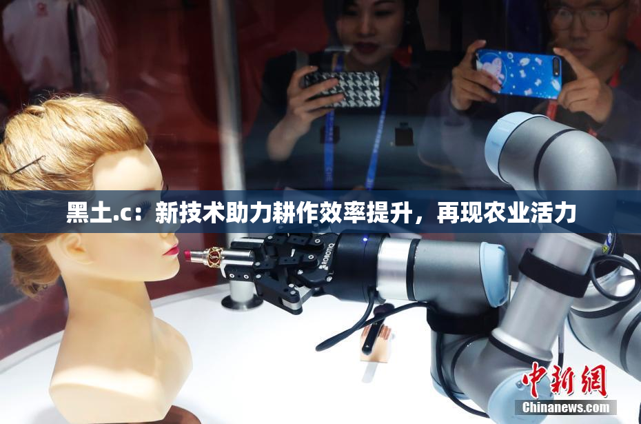 黑土.c：新技术助力耕作效率提升，再现农业活力