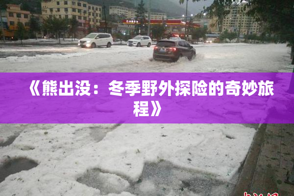《熊出没：冬季野外探险的奇妙旅程》