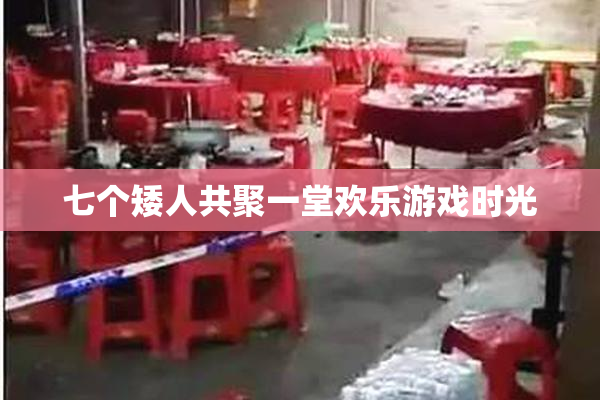 七个矮人共聚一堂欢乐游戏时光